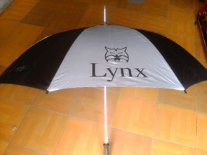 廣告?zhèn)銏D片,廣告?zhèn)愀咔鍒D片 廣東省惠州市惠陽(yáng)區(qū)秋長(zhǎng)鎮(zhèn)欣嘉雨傘廠,